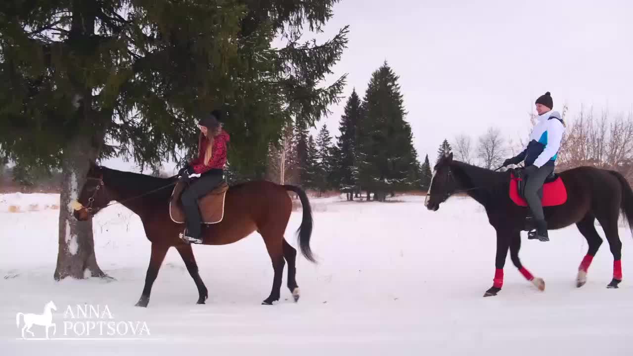 Катания на лошадях для двоих в Рязани. Конный клуб Krasnokoni